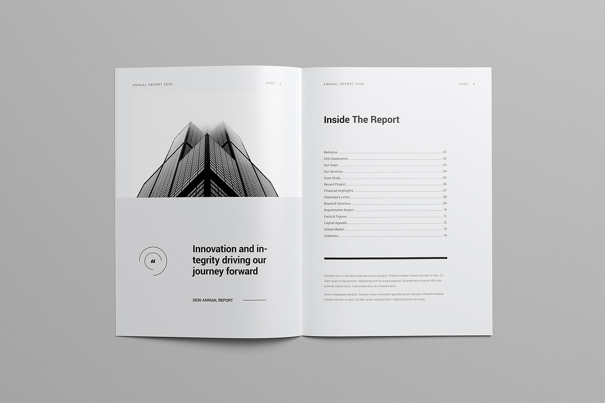 Annual Report | Canva & InDesign preview 2