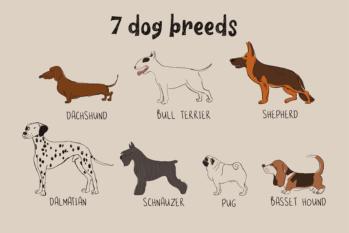 Pep Doggy Dogs, an Animal Illustration by Annakniaz (Photo 2 of 11)