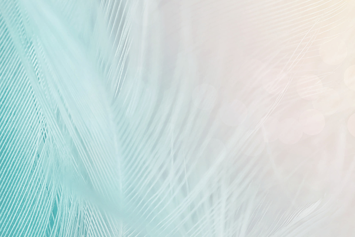 Pastel Feathers, an Abstract Photo by The Free Creatives (Photo 1 of 2)