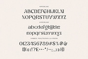 Ragnheidr Unique Serif, a Serif Font by Cruzine (Thumbnail 5 of 8)