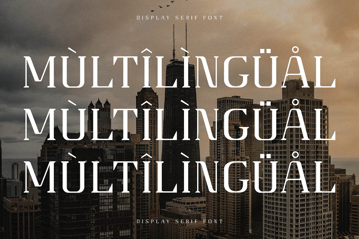 Gaines Display Serif Font, a Serif Font by Storytype Studio (Photo 12 of 14)