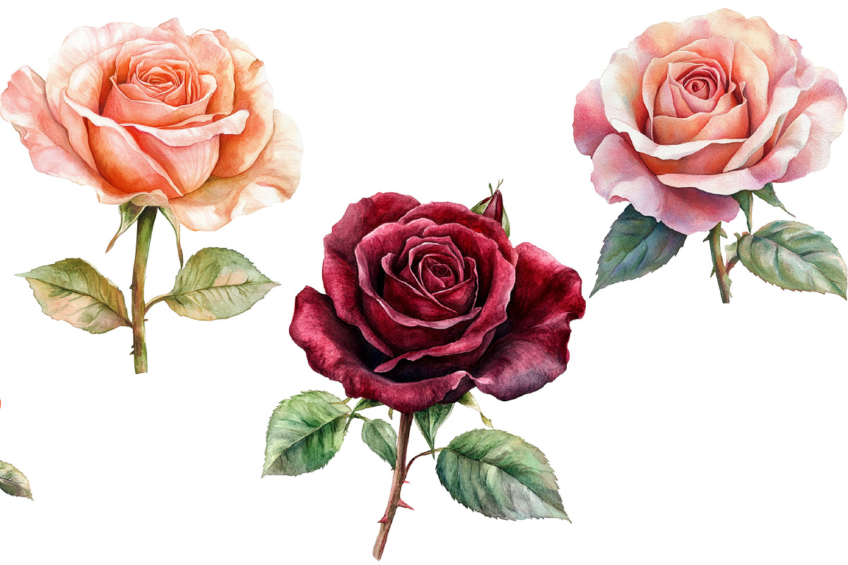 Valentine's Rose Clipart, an Illustration by Design Market (Photo 3 of 5)
