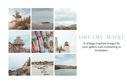 Dreamy Maine, a Nature Photo by Caitlin Antje