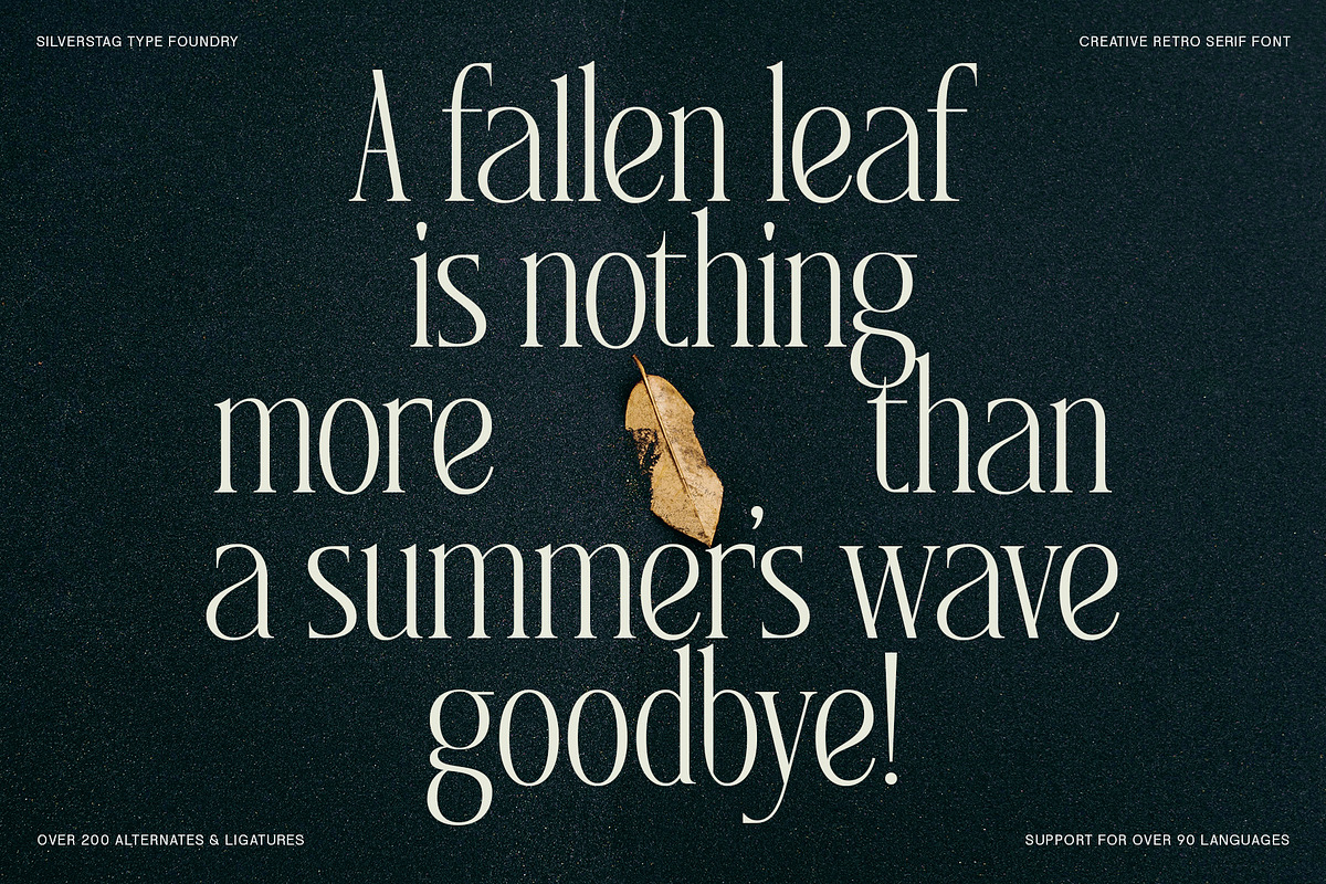 SLTF Rogue Rebellion - Ligature Font, a Serif Font by SilverStag Type Foundry (Photo 16 of 30)