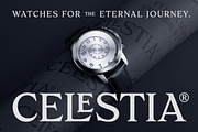 Paradisian Serif, a Serif Font by Dopestype (Thumbnail 7 of 13)