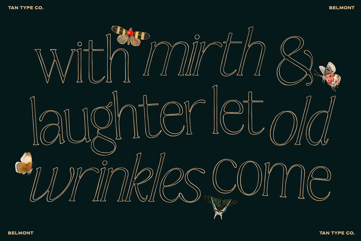 TAN-BELMONT-HANDWRITTEN SERIF, a Serif Font by TanType (Photo 3 of 10)