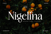 Nigelina - Modern Vintage Serif, a Serif Font by Pixesia Studio (Thumbnail 1 of 16)