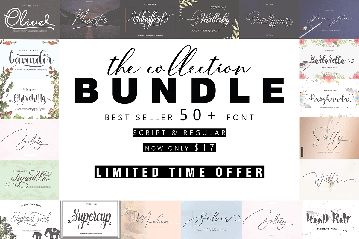 THE COLLECTION BUNDLE, a Script Font by danti (Photo 1 of 31)