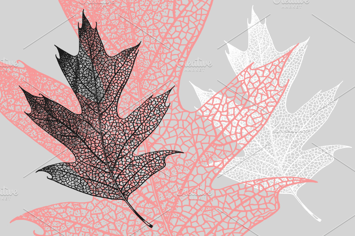 88 Skeleton Leaves PNG, an Object Graphic by Alexandra Fulger (Photo 6 of 6)