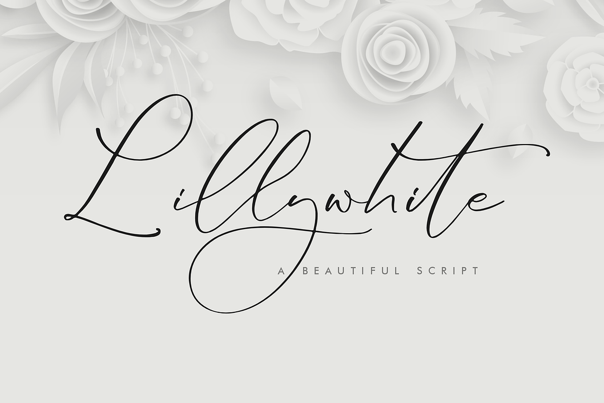 Lillywhite A Beautiful Script Font, a Script Font by Storytype Studio (Photo 1 of 15)