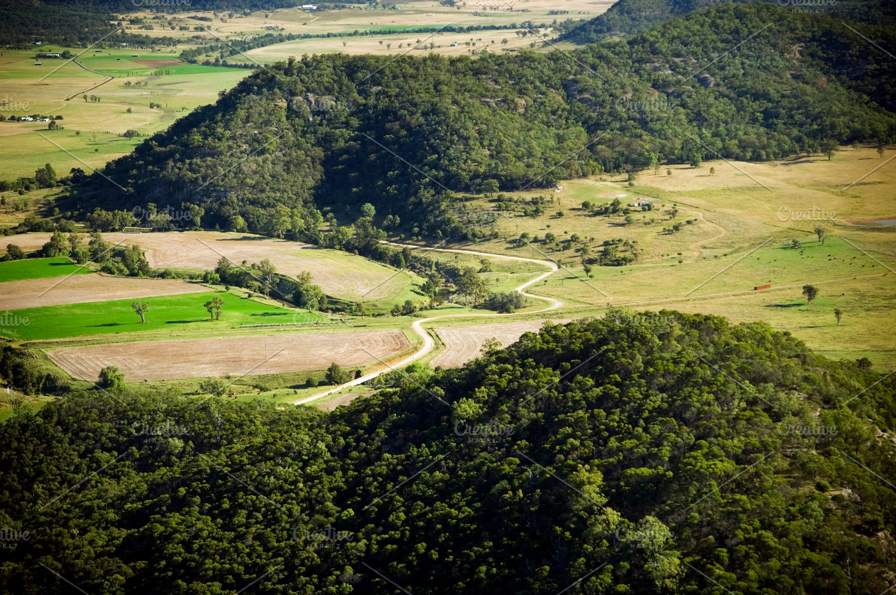 Winding Counry Lane, a Nature Photo by THP Creative