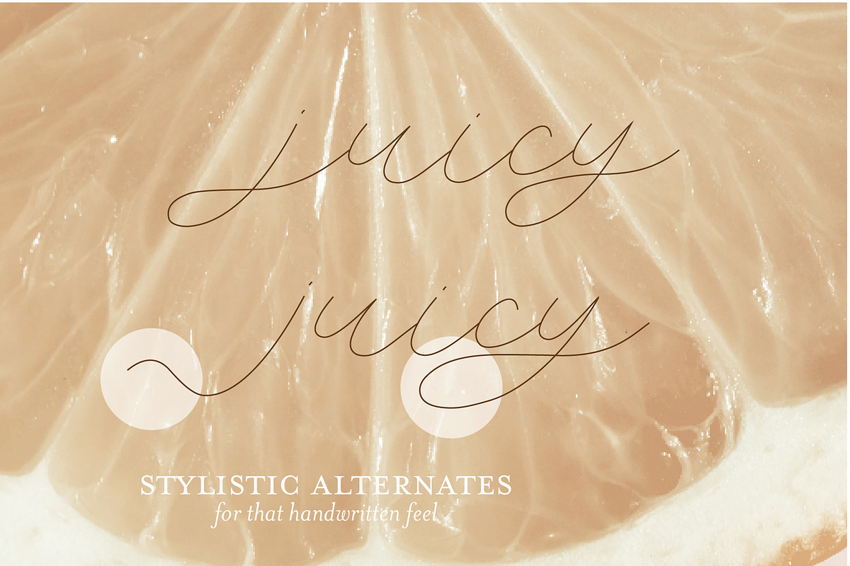 Lemon Line Single Line Font, a Font by Design by Laney (Photo 6 of 14)