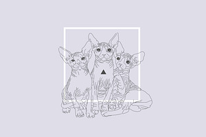 The cats