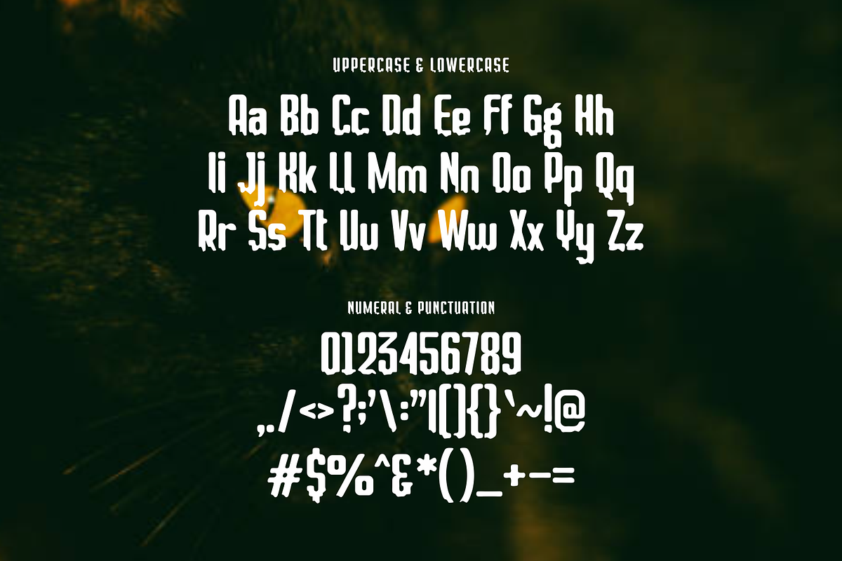 Crisno, a Sans Serif Font by lelevien (Photo 3 of 5)