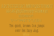 Buffalo- Font Family, a Slab Serif Font by Sabrina Schleiger Design (Thumbnail 8 of 8)