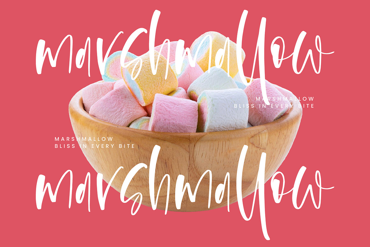 Flesmingo, a Handwritten Font by Integritype Studio (Photo 9 of 15)