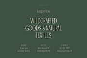 Cadence Demi-Serif Display Font, a Serif Font by Type and Graphics Studio (Thumbnail 6 of 28)