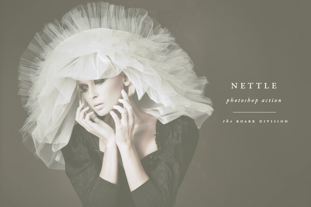 Nettle Photoshop Action, an Action Add-On by The Roark Division (Photo 1 of 4)