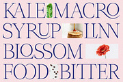Role Model | Contemporary Serif, a Serif Font by Ef Studio (Thumbnail 10 of 13)