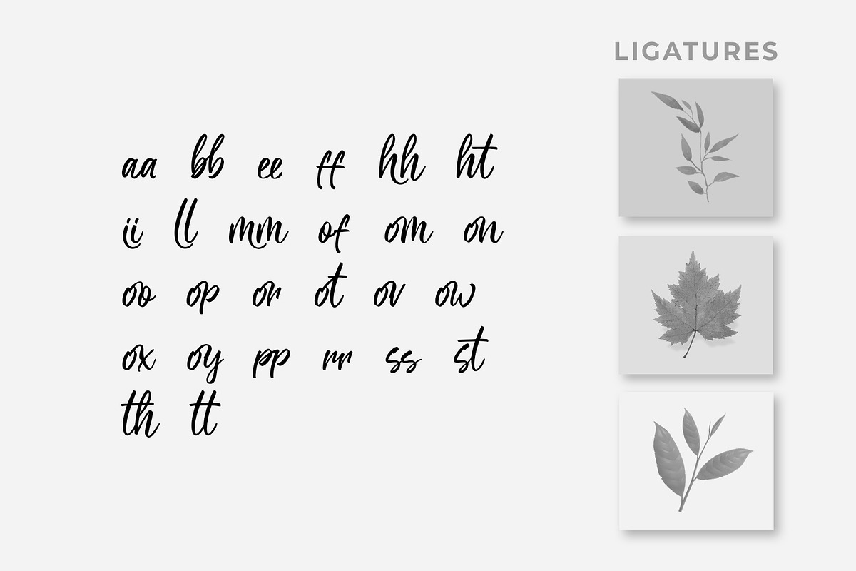 Monttee - A Modern Script, a Script Font by khurasan (Photo 5 of 7)