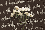 Hestqila - Luxury Script Font, a Script Font by Randi Irvan | Rvandtype (Thumbnail 6 of 10)