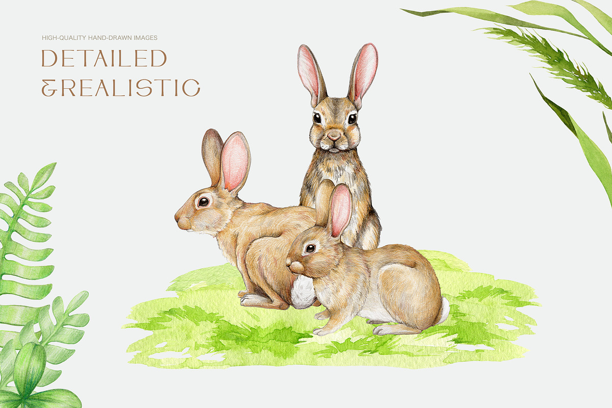 Farm Animals and Birds Clipart, an Animal Illustration by AnitaPol (Photo 3 of 19)