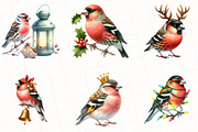 Christmas Grosbeak Birds Clipart, an Illustration by OK Design (Thumbnail 5 of 5)