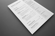 Resume/CV, a Stationery Template by UX-group (Thumbnail 3 of 7)