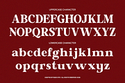 Lecaria Editorial Modern Serif Font, a Serif Font by Rasio Studio (Thumbnail 2 of 9)
