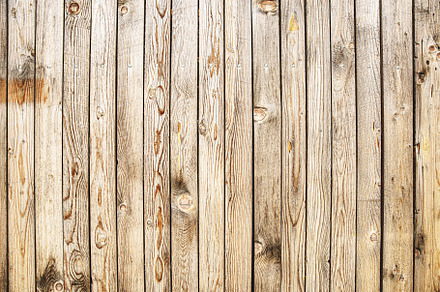 Summer background containing beach, background, and frame preview 6