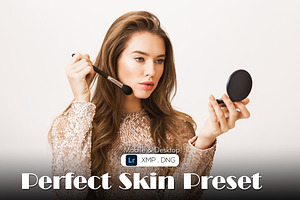 Perfect Skin Presets