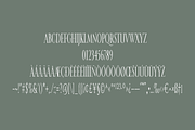 jovanca, a Serif Font by jaffana.co (Thumbnail 5 of 5)