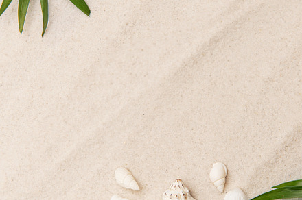 Tropical background featuring palm leaves, seashells, and starfi