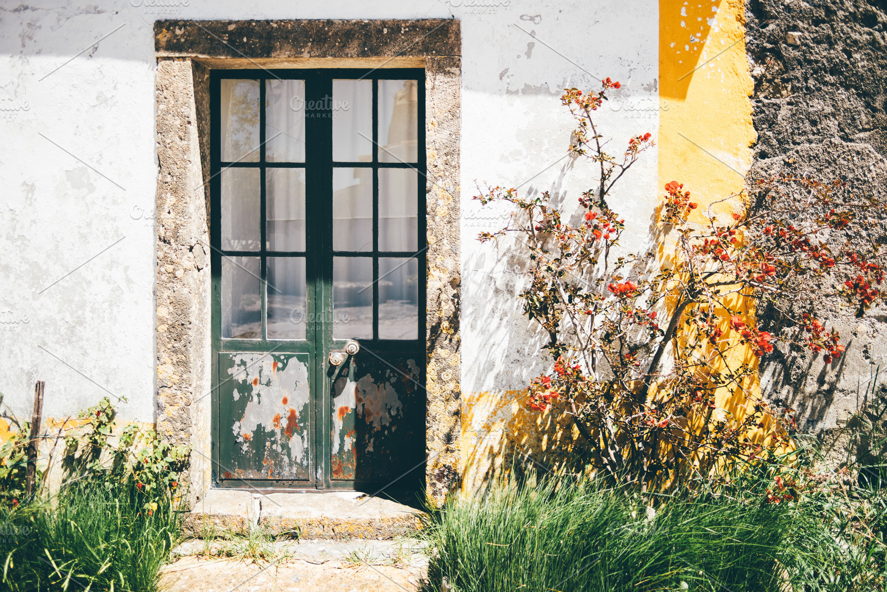 Rustic door with flowers and texture, an Architecture Photo by SkyNext
