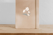 WATERCOLOR DAISY / illustration set, an Illustration by KruthDesign (Thumbnail 4 of 7)