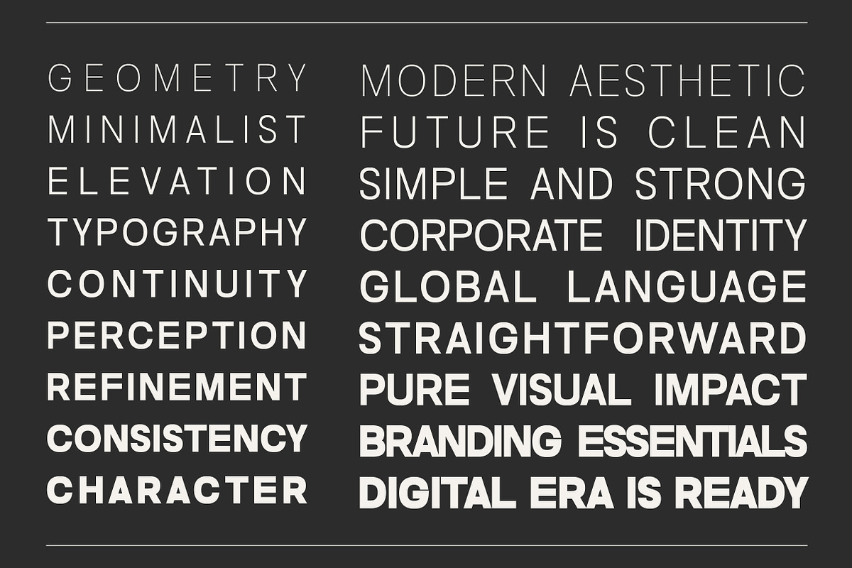 Nalte Sans Family | Intro 60% OFF, a Sans Serif Font by Lettertype Studio (Photo 7 of 15)