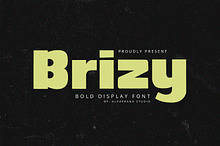 Brizy - Display Sans