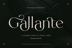 Gallante - A Unique Display Serif, a Serif Font by BrandSemut