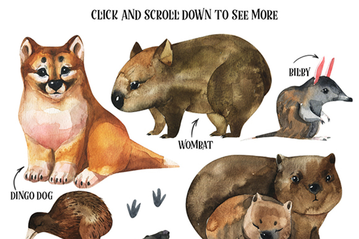 Australian Mainland-illustration set, an Animal Illustration by KatBranchArt (Photo 2 of 5)
