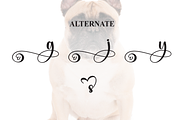 Bulldogs | Script Font, a Handwritten Font by Scratchones (Thumbnail 8 of 9)