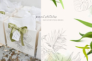 TROPICAL PARADISE birds and plants, a Decorative Illustration by Yuliia Lashevska (Thumbnail 13 of 14)