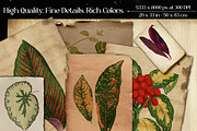 Vintage Leaves & Botanicals Ephemera, a Graphic by Craftsy Crafters (Thumbnail 2 of 6)