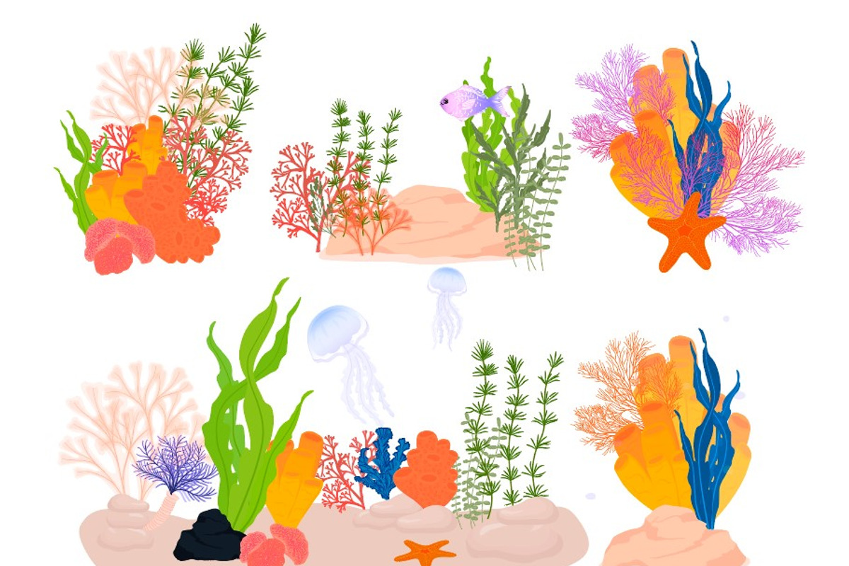 Ocean Sea Collection, a Seasonal Illustration by MariiaVasilenko (Photo 6 of 8)