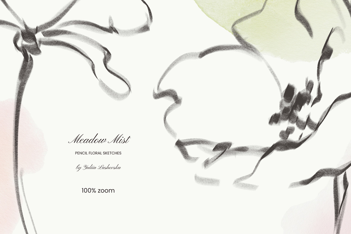 Meadow Mist: Pencil Floral Sketches, a Decorative Illustration by Yuliia Lashevska (Photo 8 of 12)