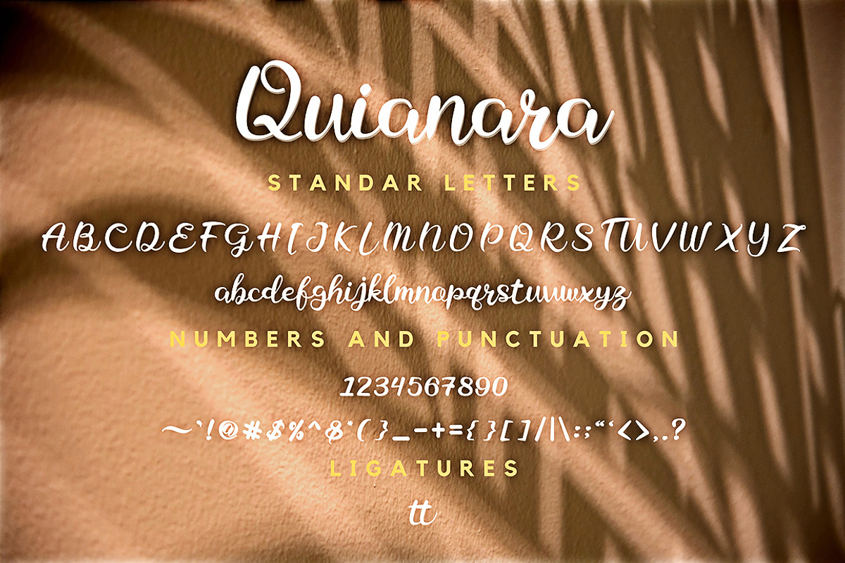 Quianara Font - Elegant Script, a Script Font by Ahmad Pkp Studio (Photo 8 of 9)