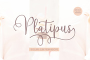 Platipus Script, a Script Font by Areatype (Thumbnail 1 of 7)