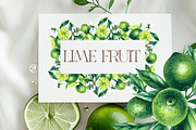 Lime Watercolor Collection, a Food Illustration by SashaKondr (Thumbnail 9 of 15)