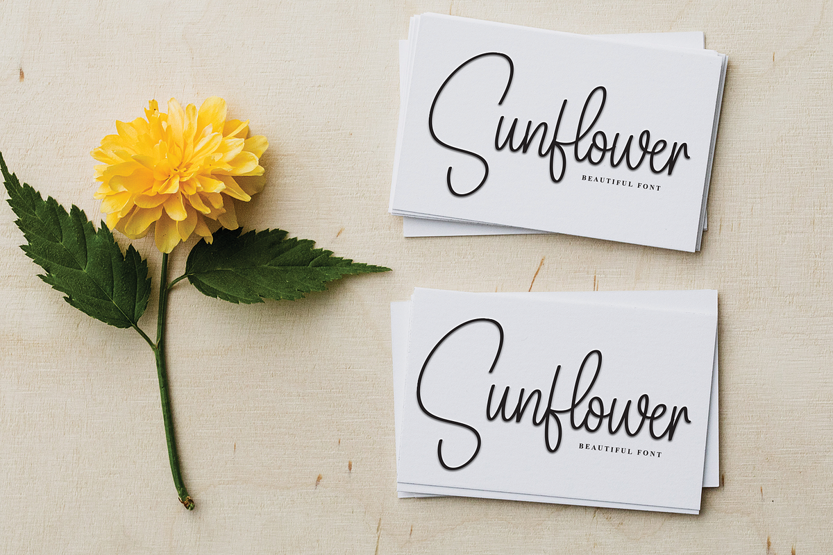 Family Signature | Script Font, a Handwritten Font by Scratchones (Photo 4 of 8)