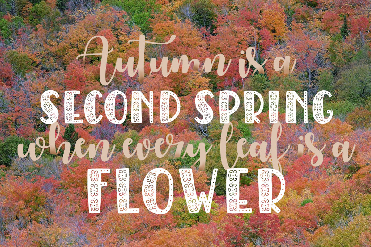 Autumn Spice Display San Serif Font preview 4