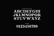 Gristle Typeface, a Serif Font by Tugcu Design Co. (Thumbnail 2 of 4)